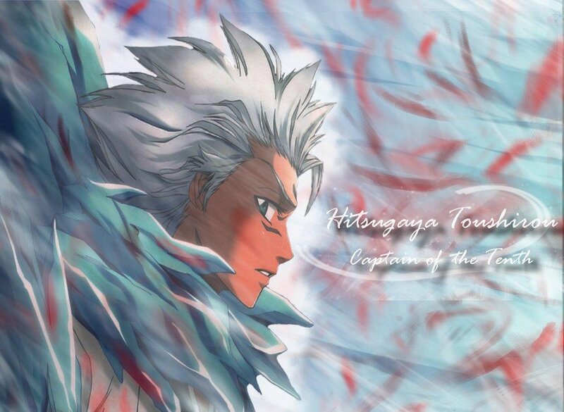 Hitsugaya Toushirou profile
