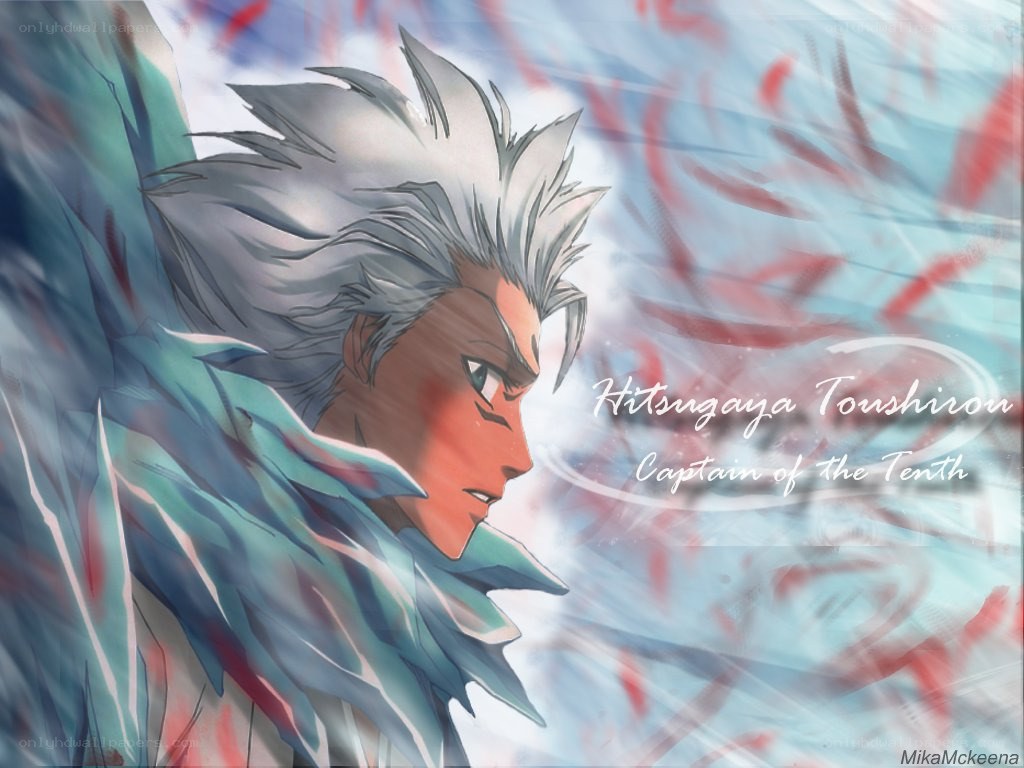 Hitsugaya Toushirou profile
