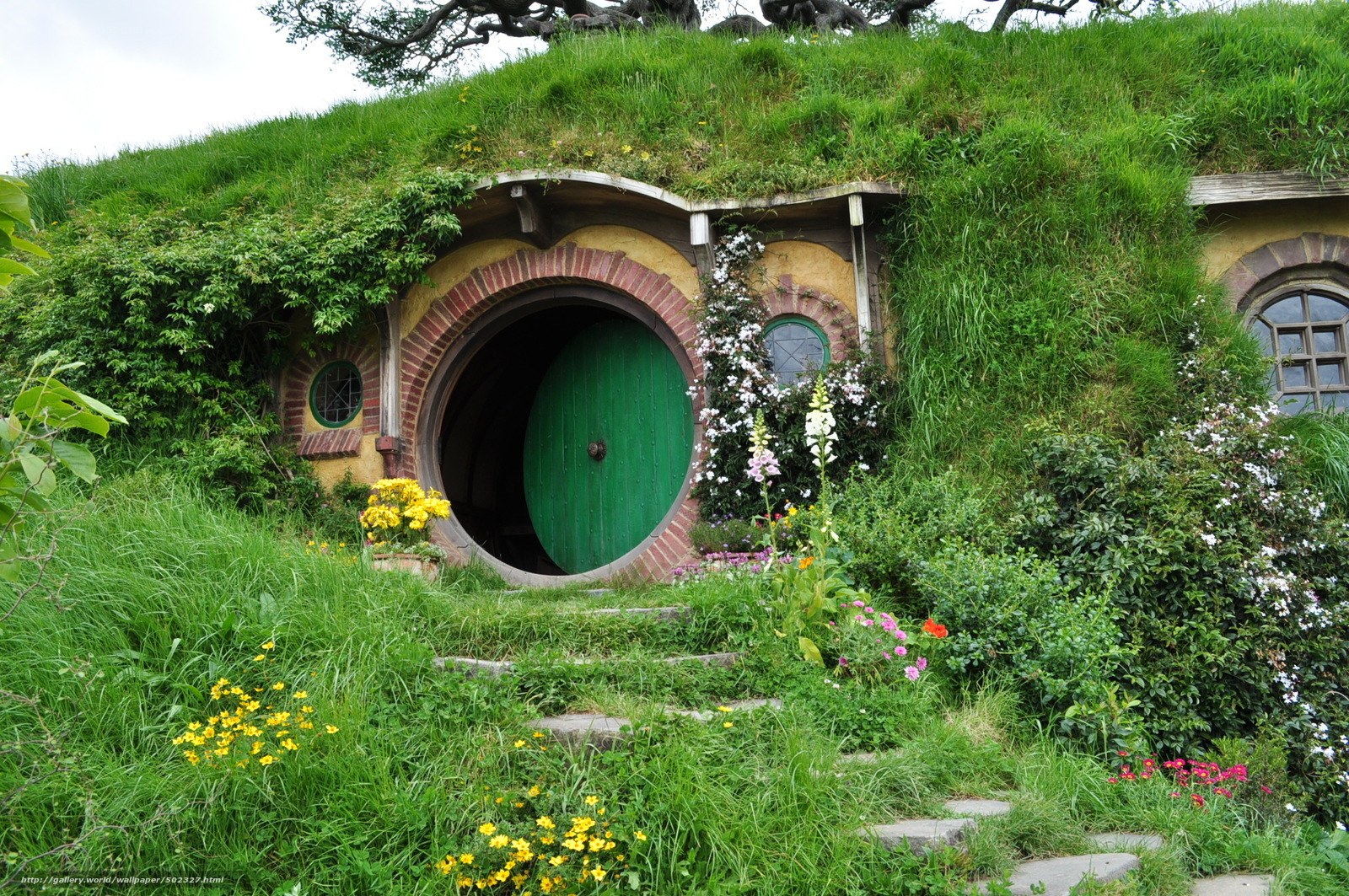 Hobbit hole with green door