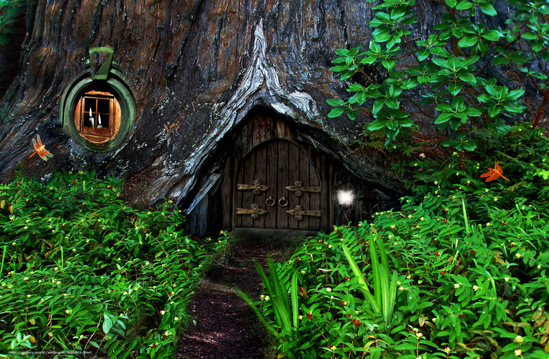 Hobbit house in a tree