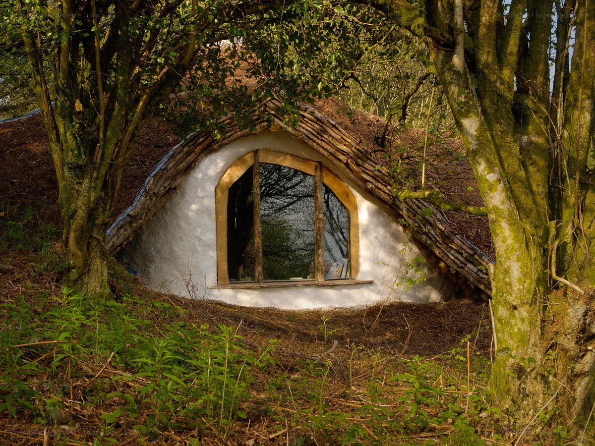 Hobbit-style house in forest