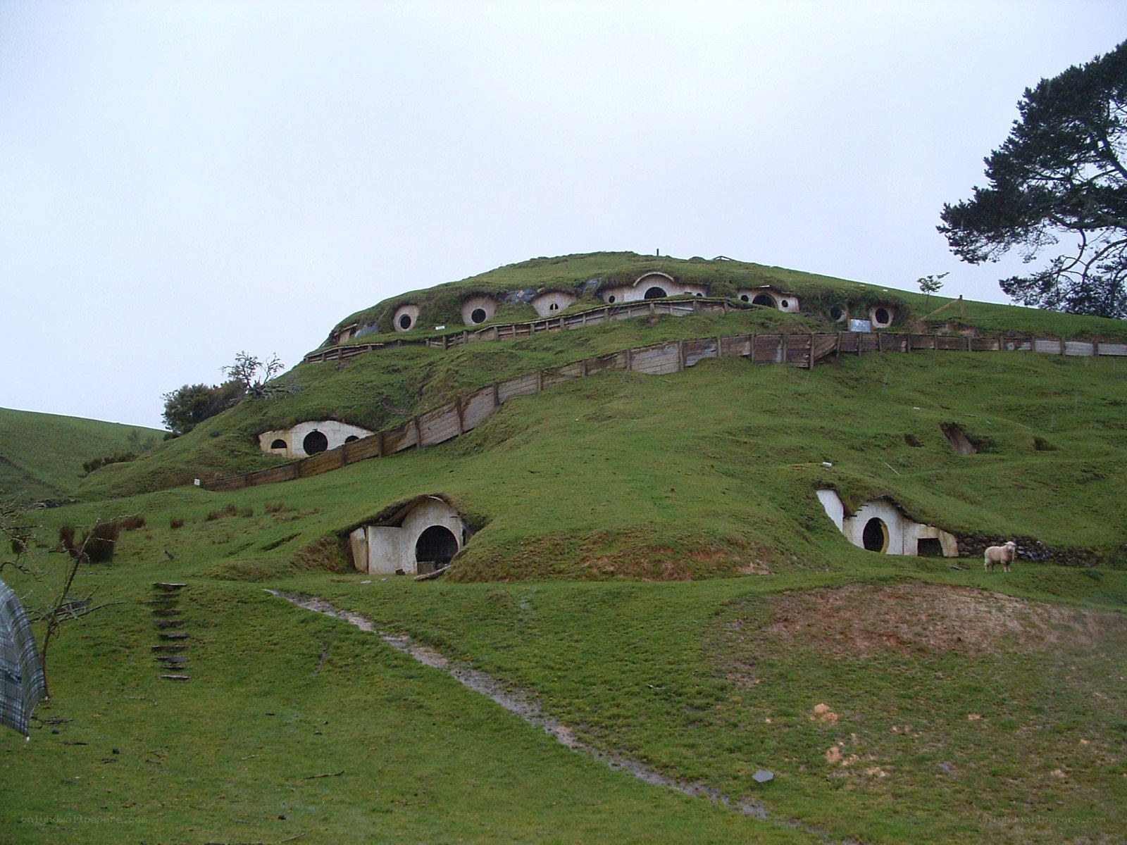 Hobbiton movie set