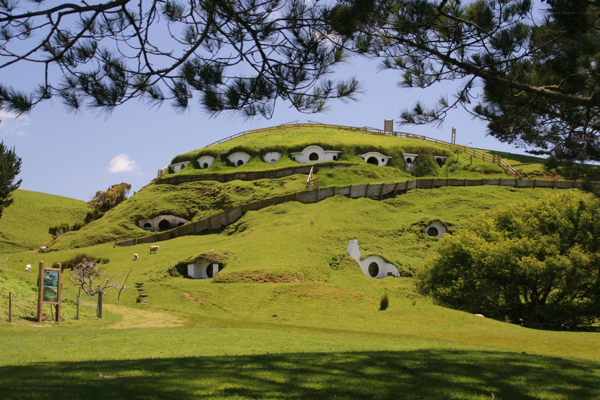 Hobbiton movie set