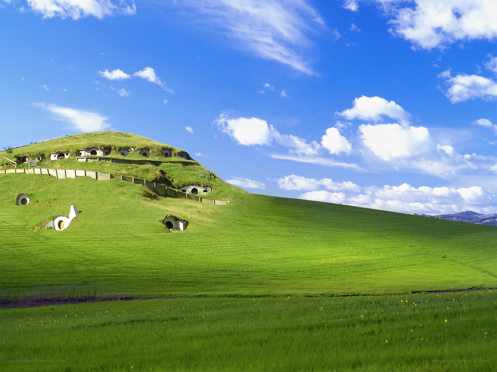 Hobbiton village scene