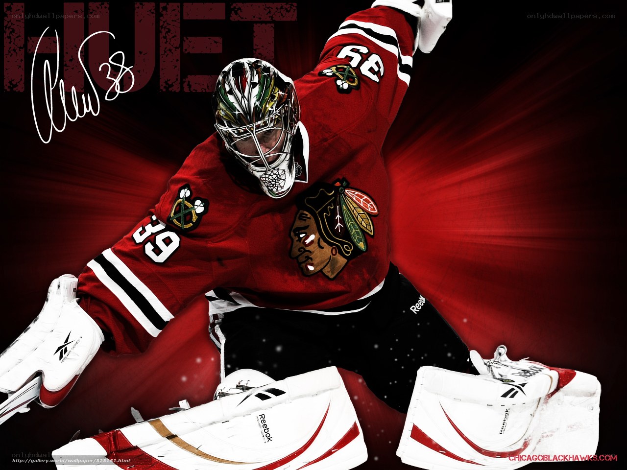 hockey goalie action