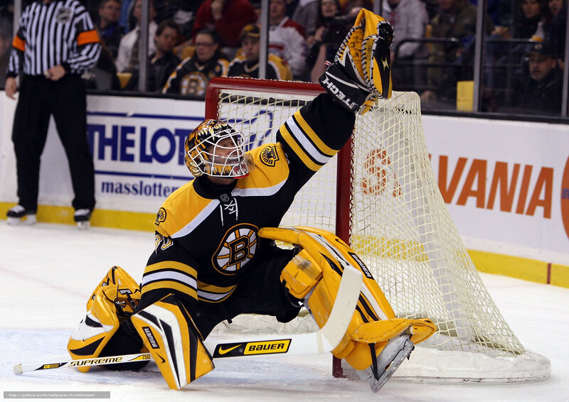 Hockey goalie celebrates save