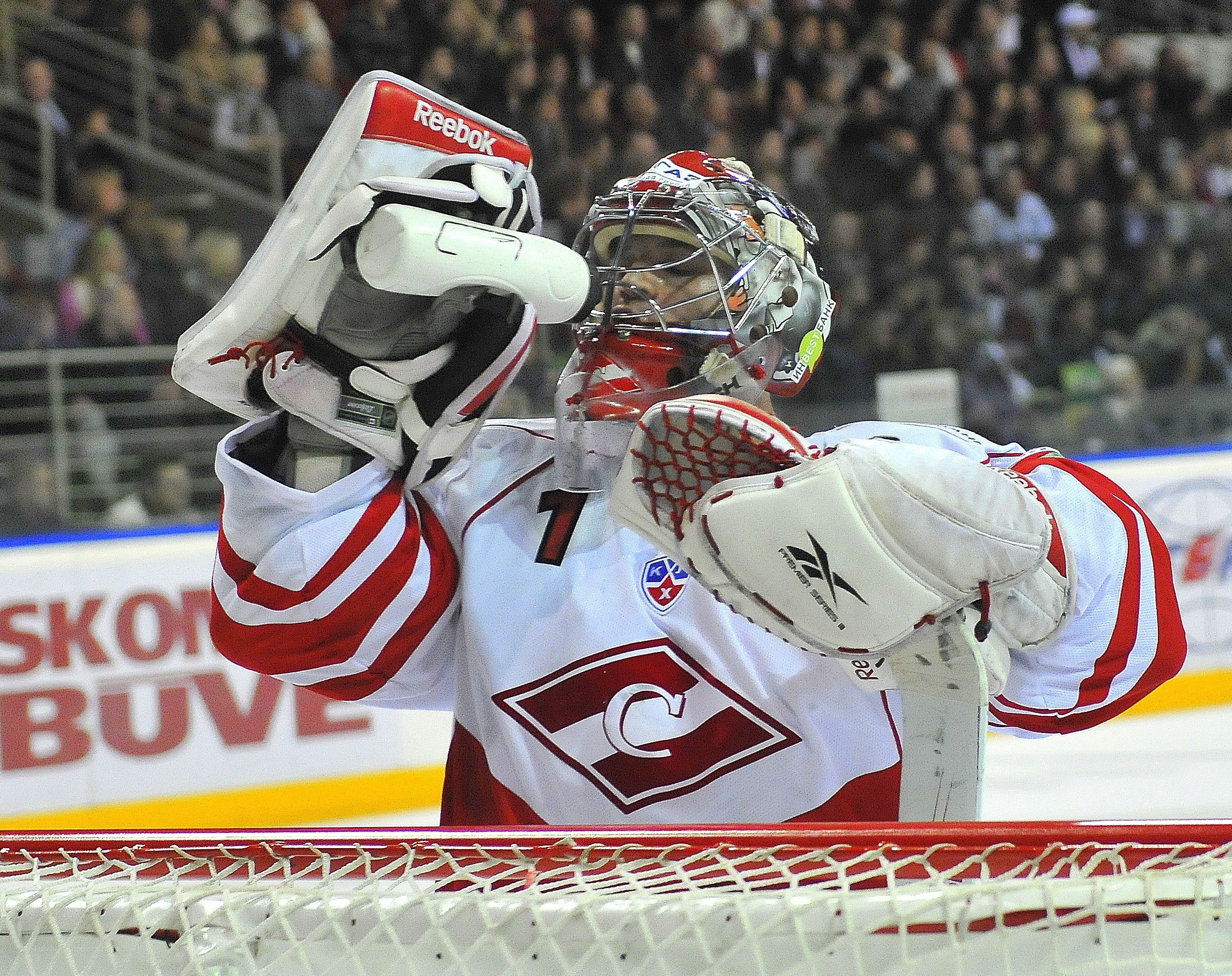 hockey goalie celebrating