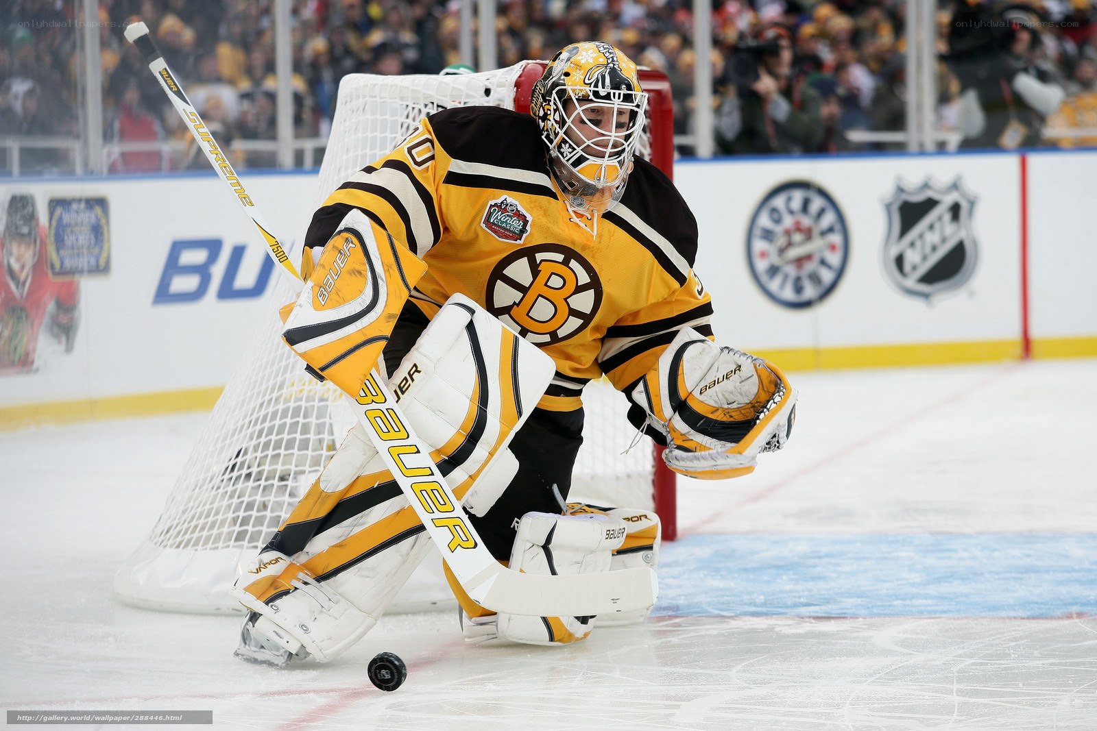 Hockey goalie in action