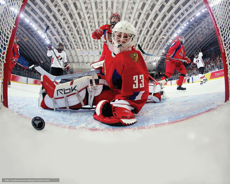 Hockey goalie in action