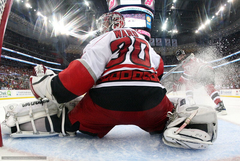 Hockey Goalie in Action — White, Dynamic