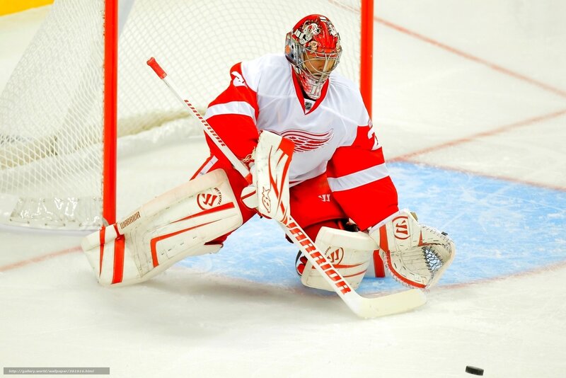 Hockey Goalie in Action — White, Intense, Photograph