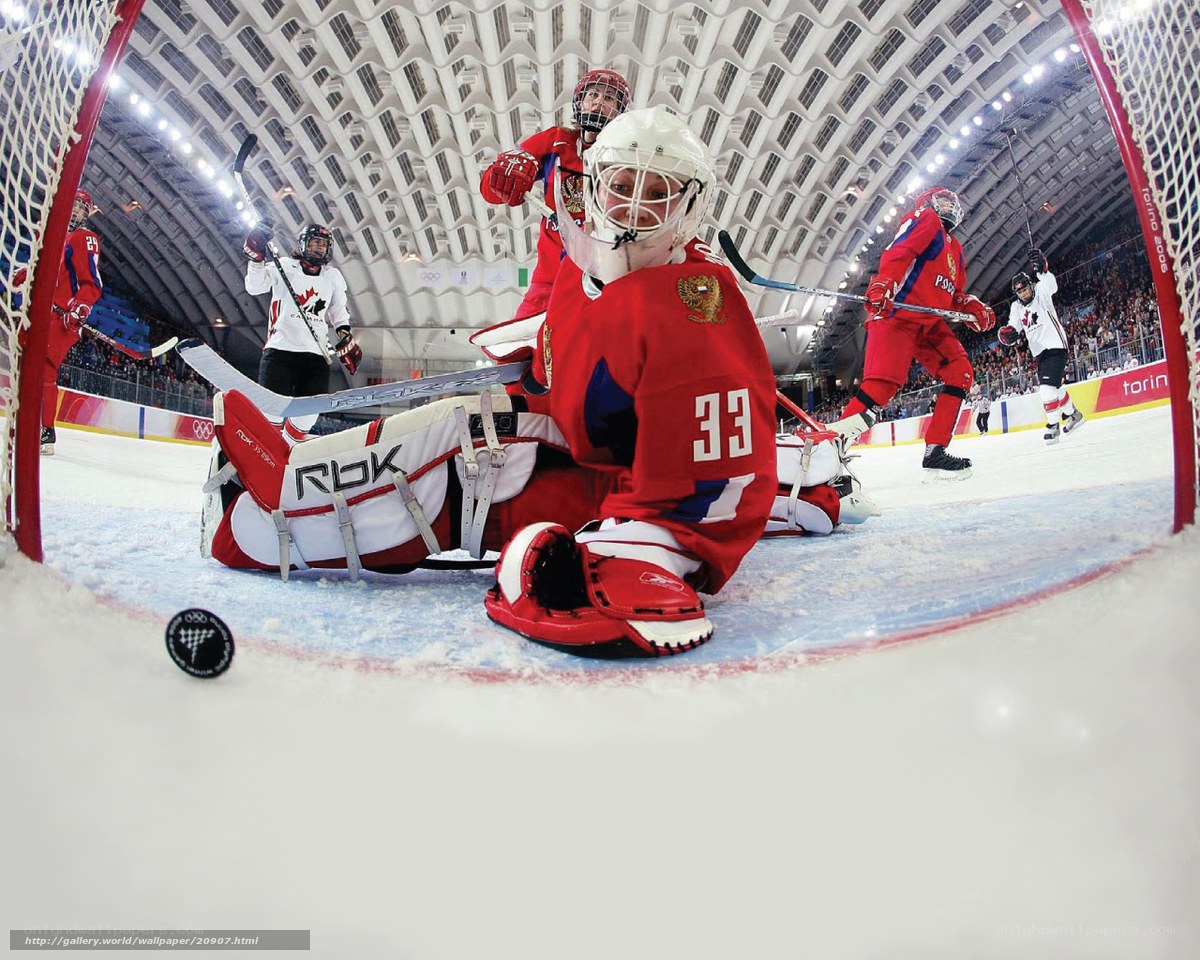 Hockey goalie in action