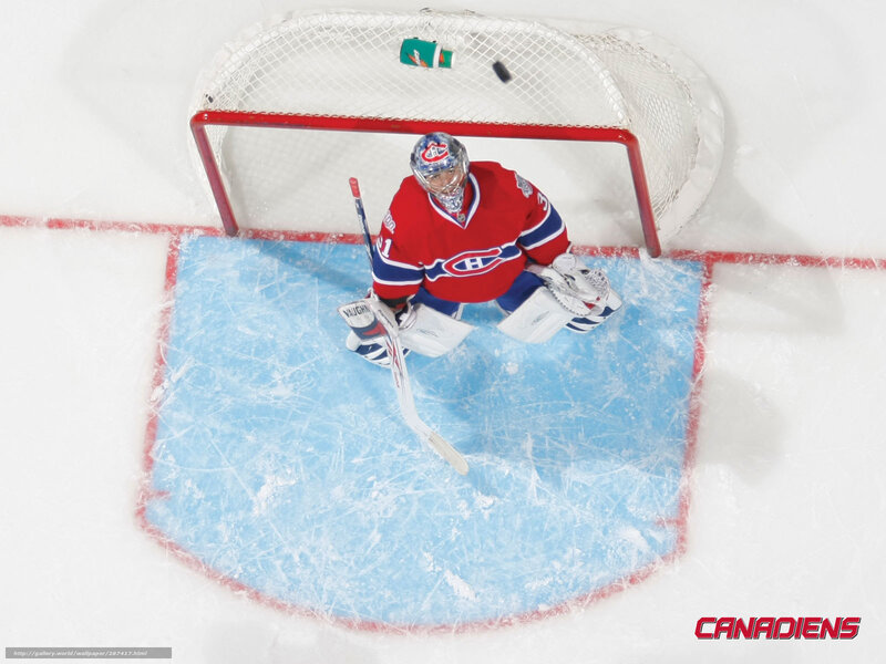 Hockey Goalie in Net