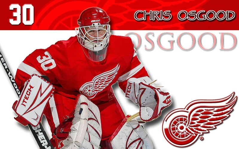 Hockey Goalie in Red Uniform — Dynamic