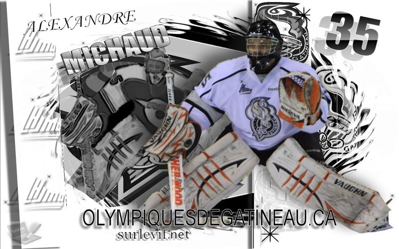 Hockey Goalie in Uniform — White, Dynamic, Digital Art