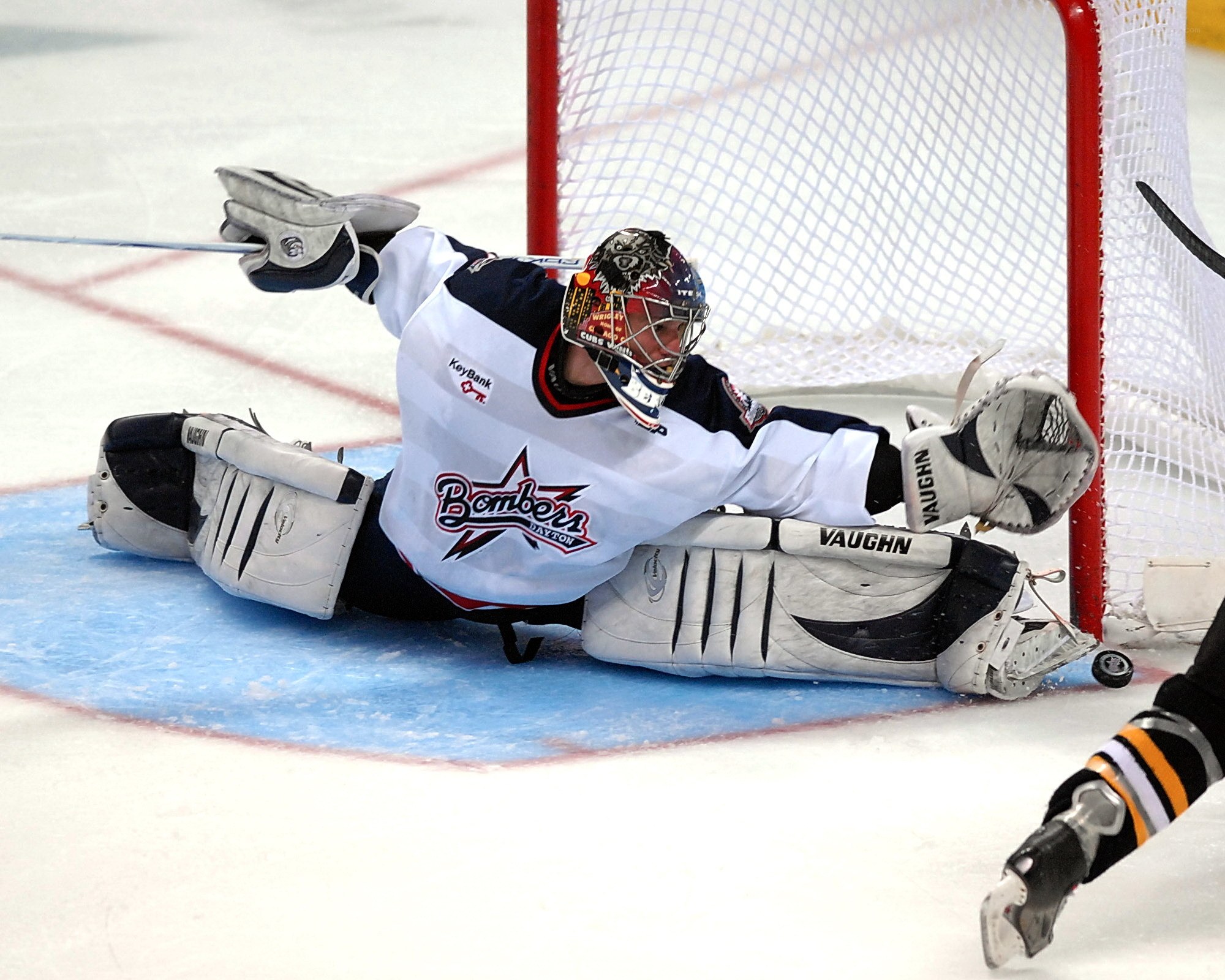 Hockey goalie making a save