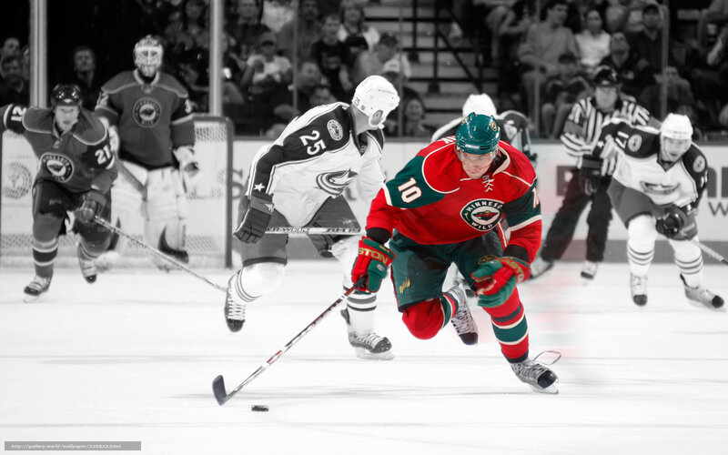 Hockey player in action on ice