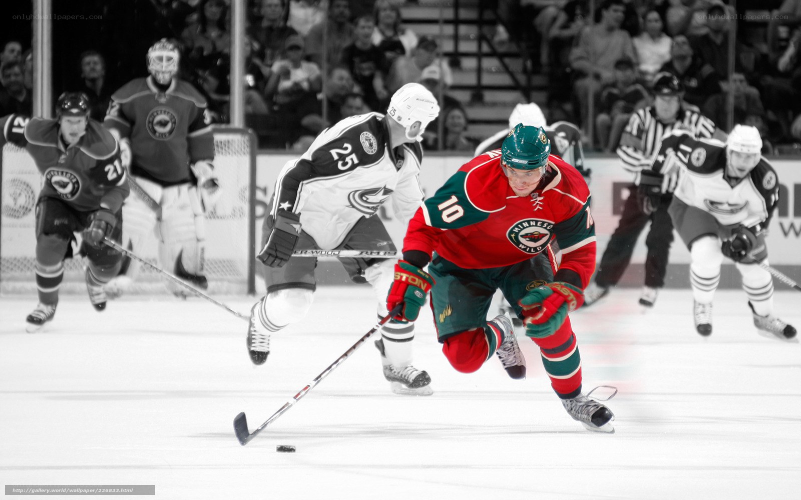 Hockey player in action on ice