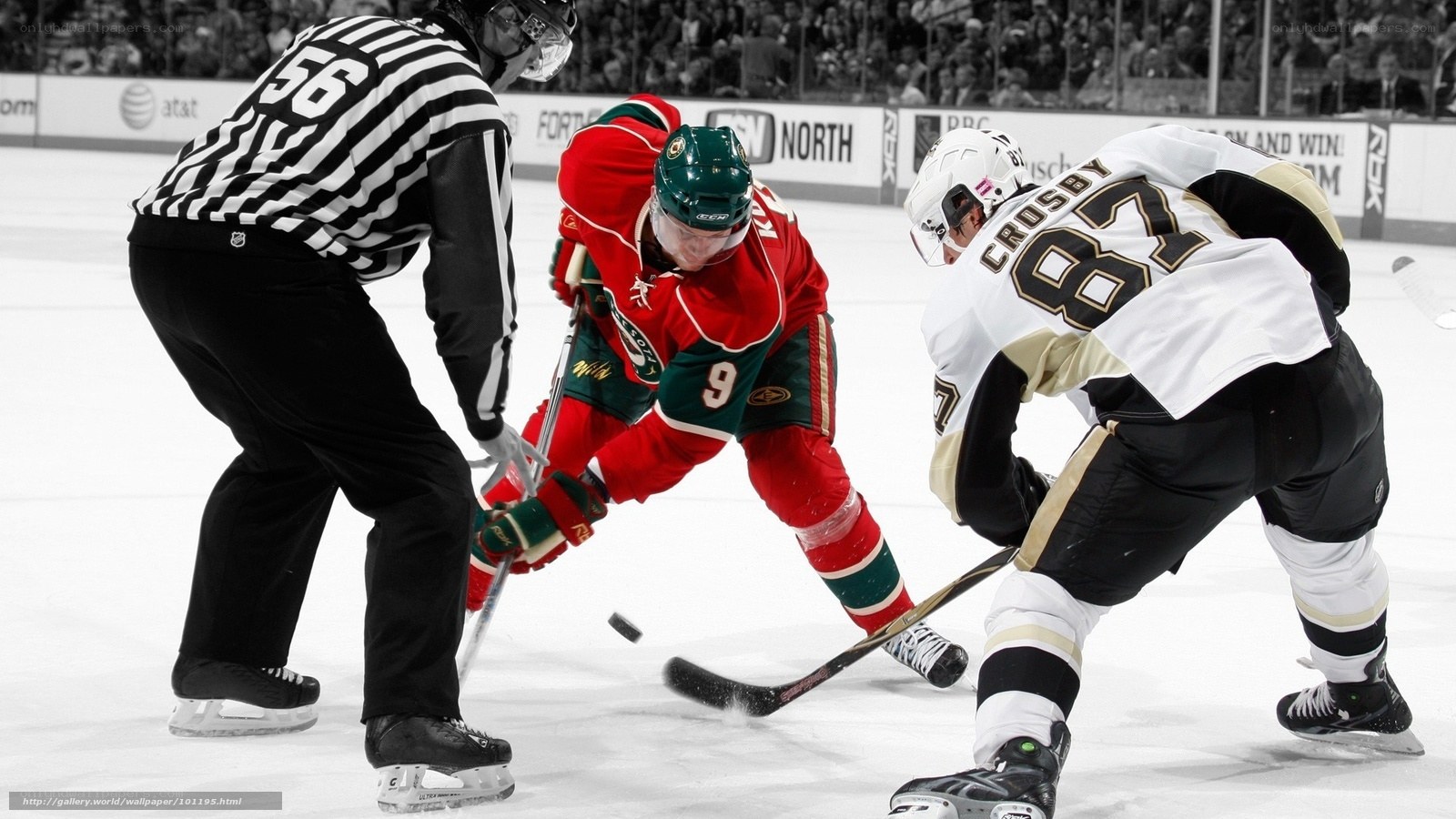 Hockey players battling for puck