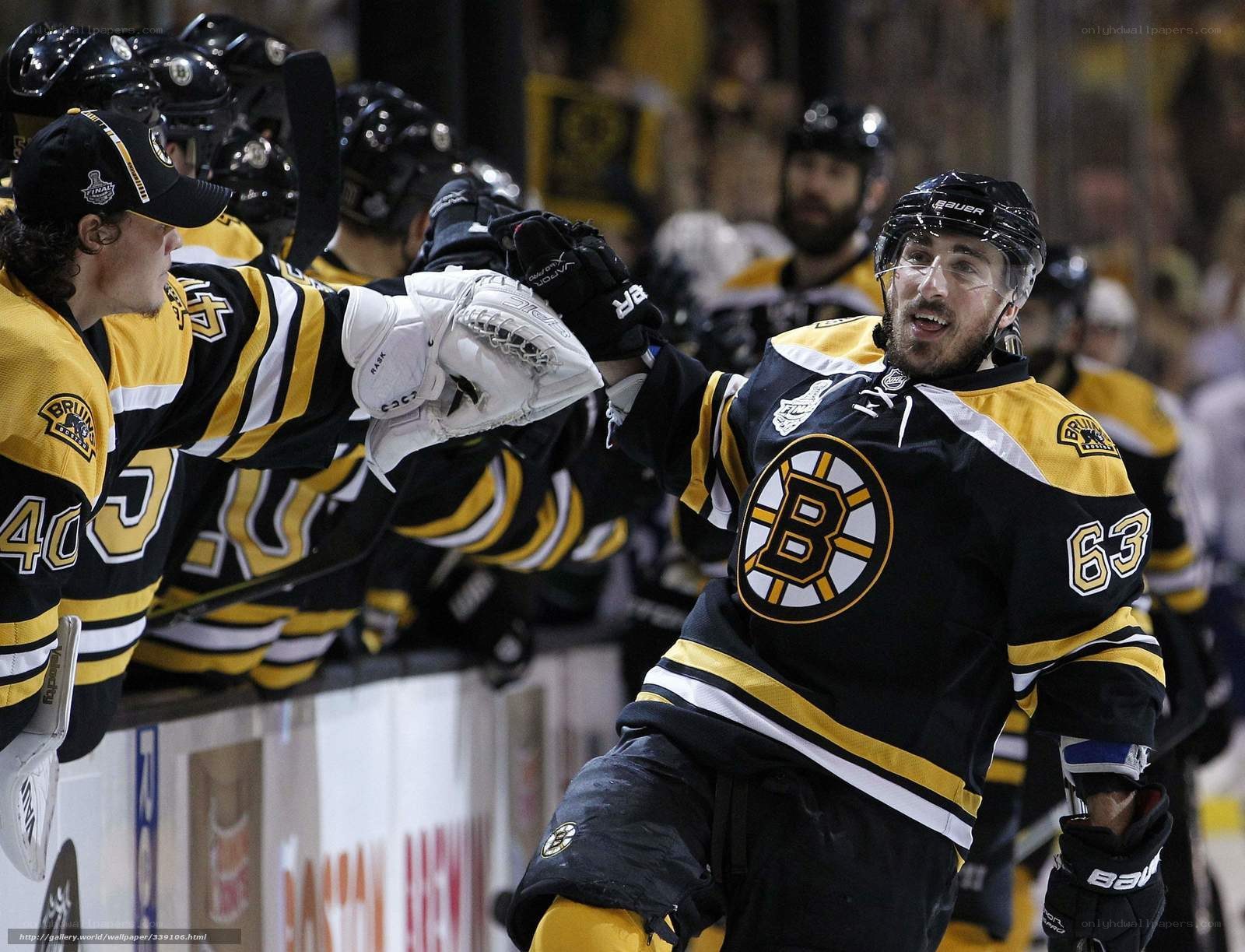 Hockey players celebrating