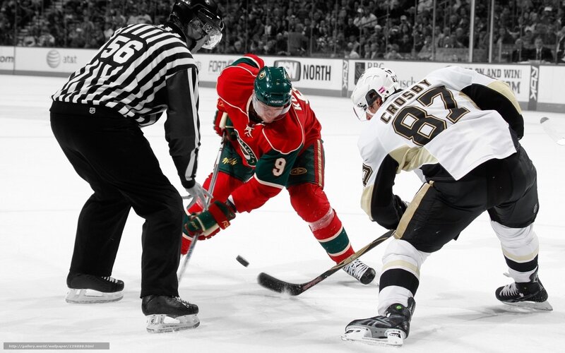 Hockey players in action