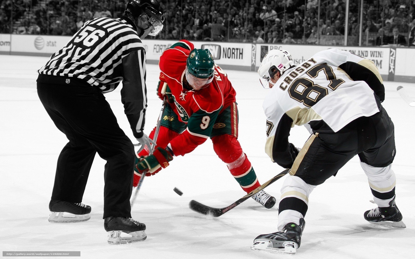 Hockey players in action