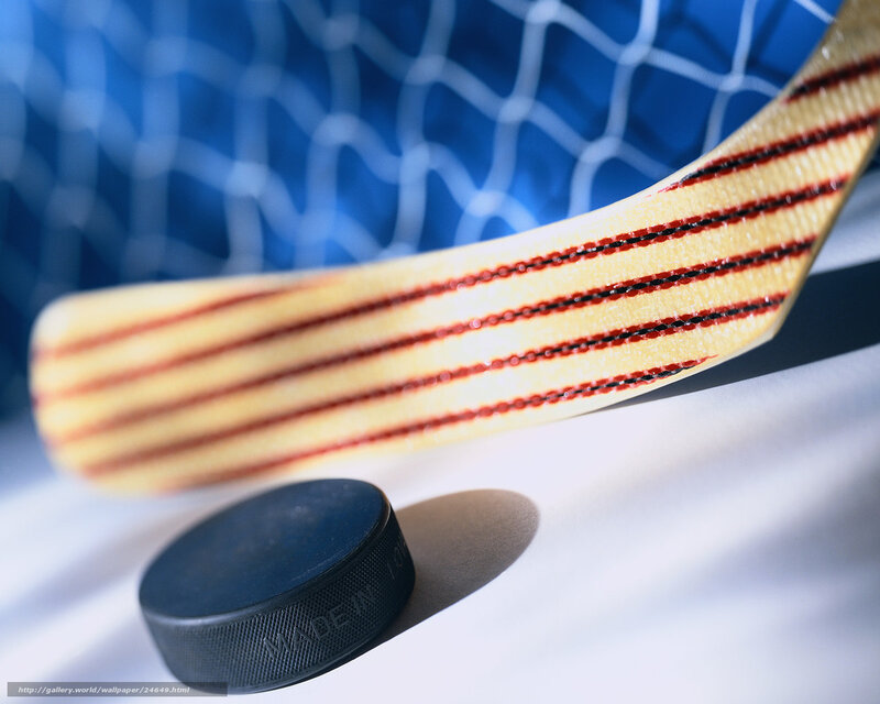 Hockey Stick and Puck — Blue