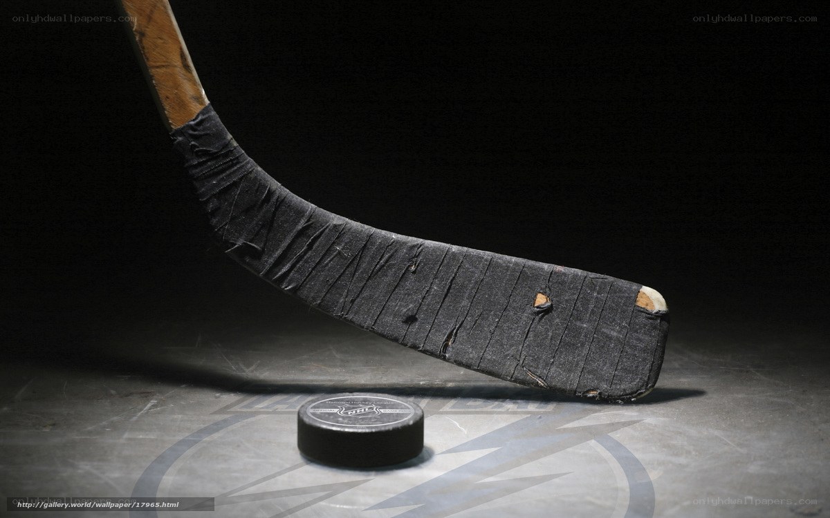 Hockey stick and puck