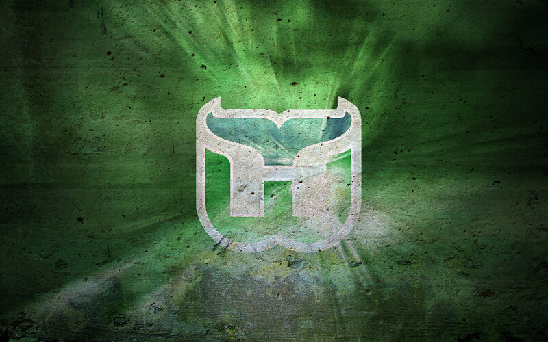 Hockey team logo on green wall