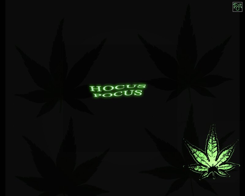 Hocus Pocus cannabis theme