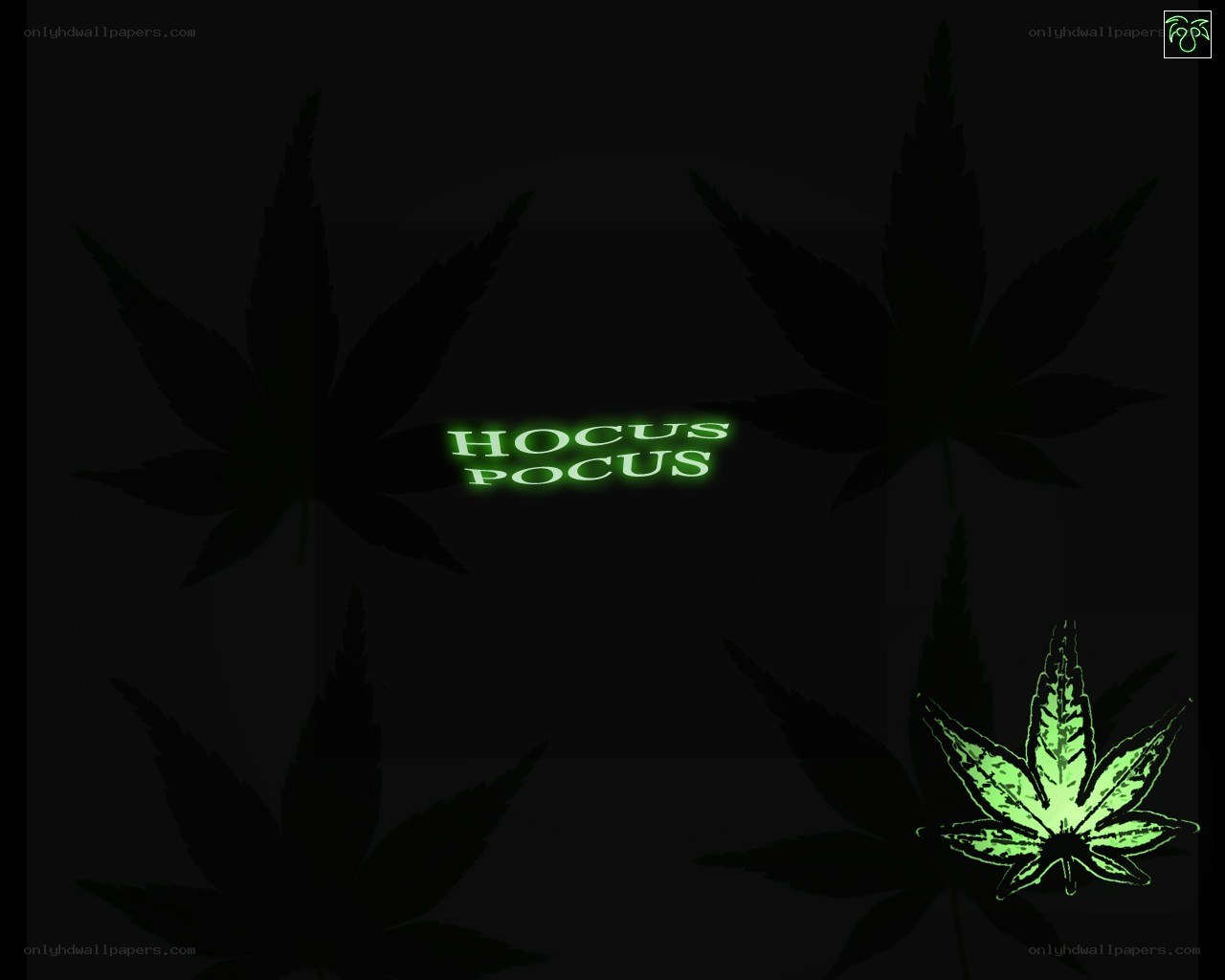 Hocus Pocus cannabis theme