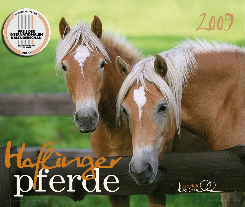 Hofinger horses calendar