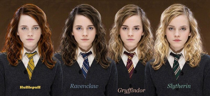 Hogwarts house variations