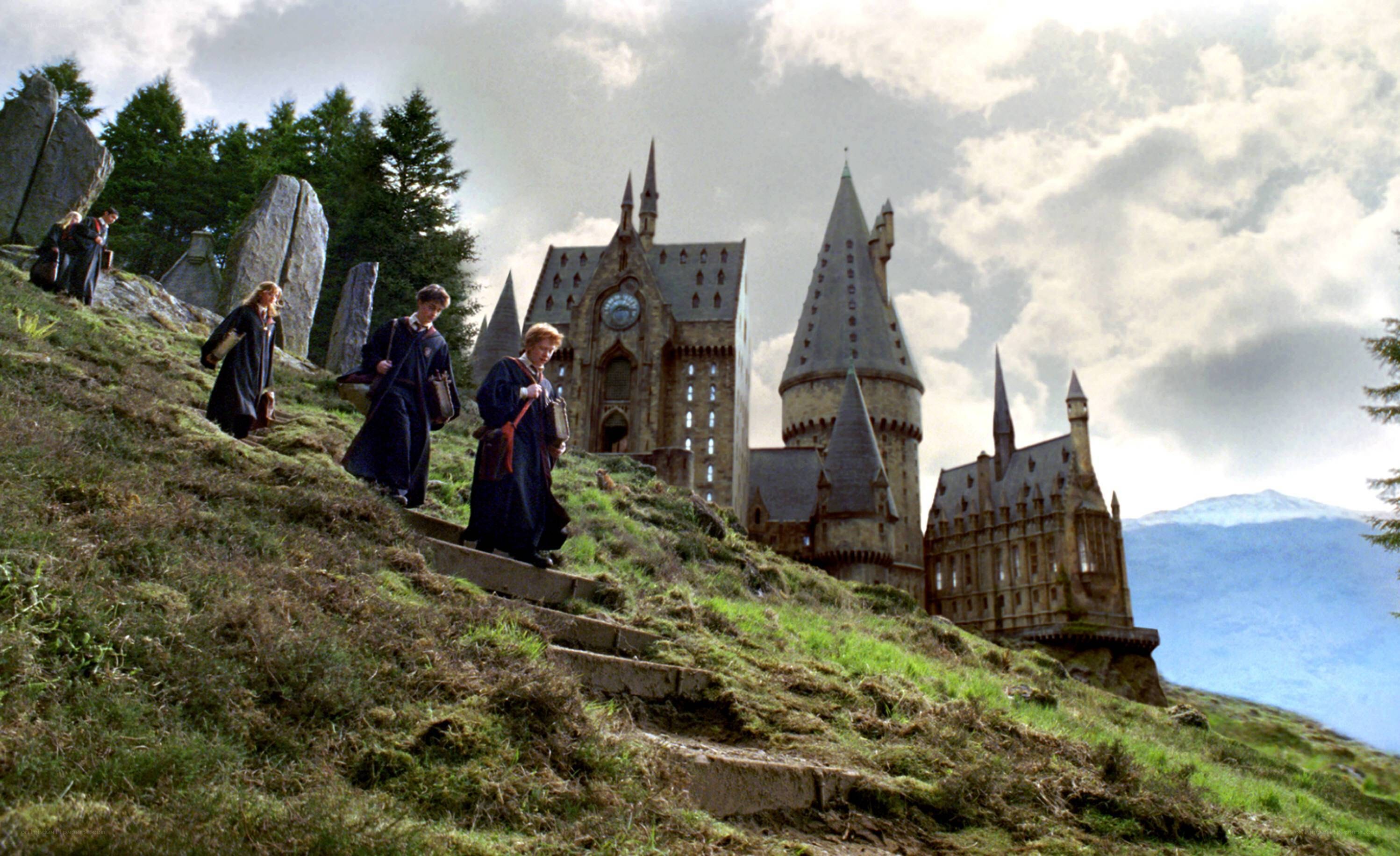 Hogwarts students on the hill