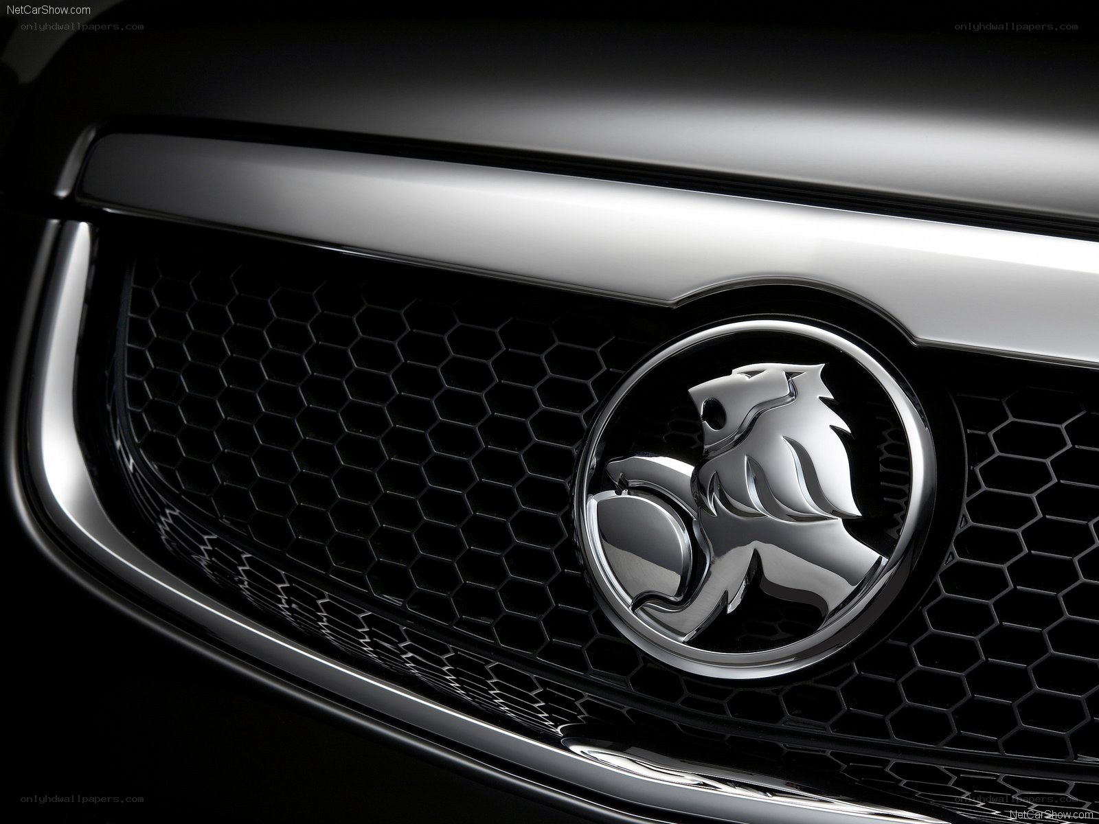 Holden grille emblem close-up