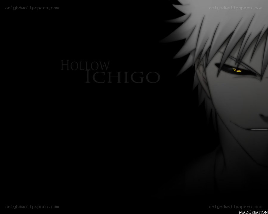 Hollow Ichigo anime wallpaper