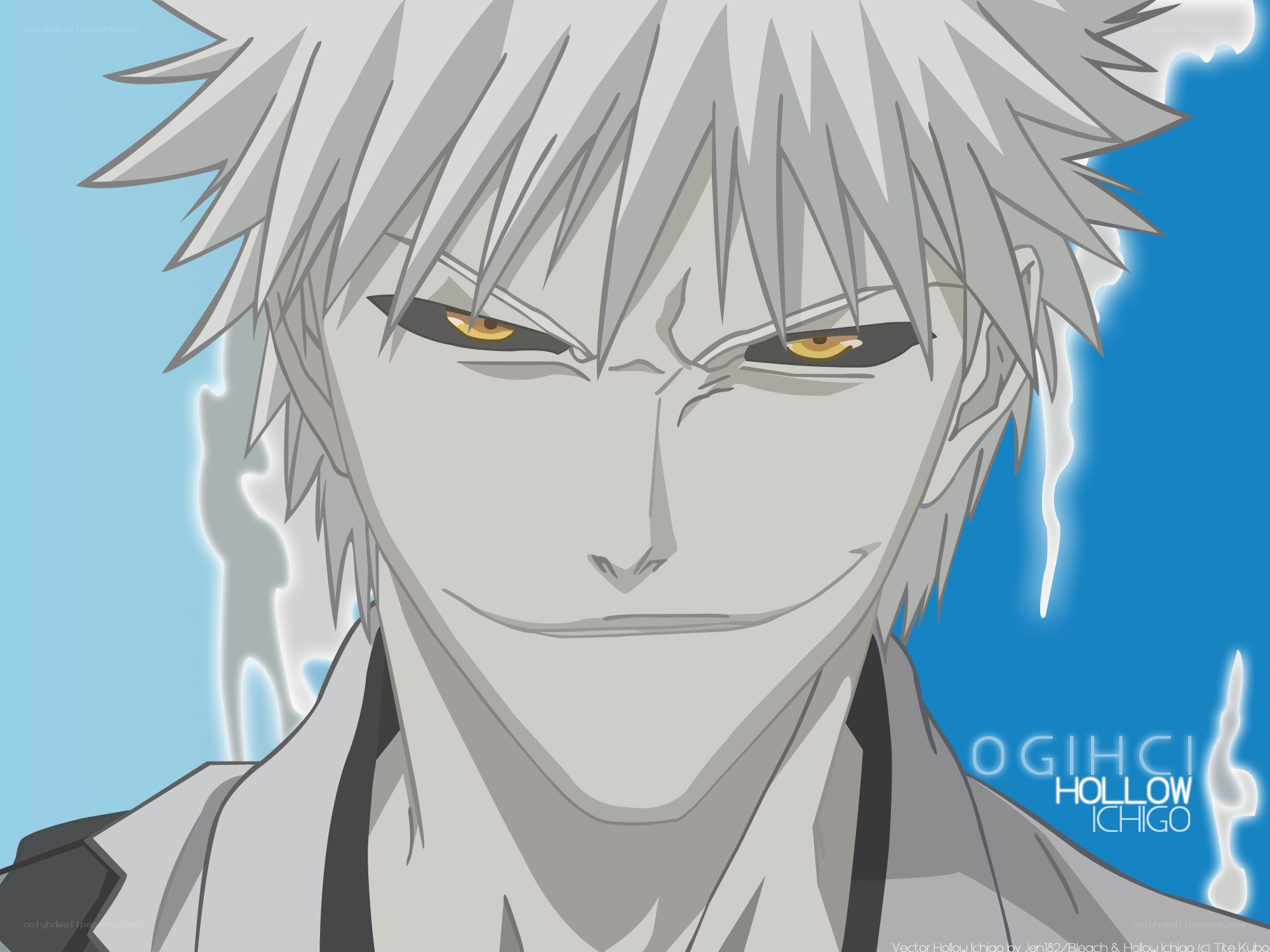 Hollow Ichigo close-up