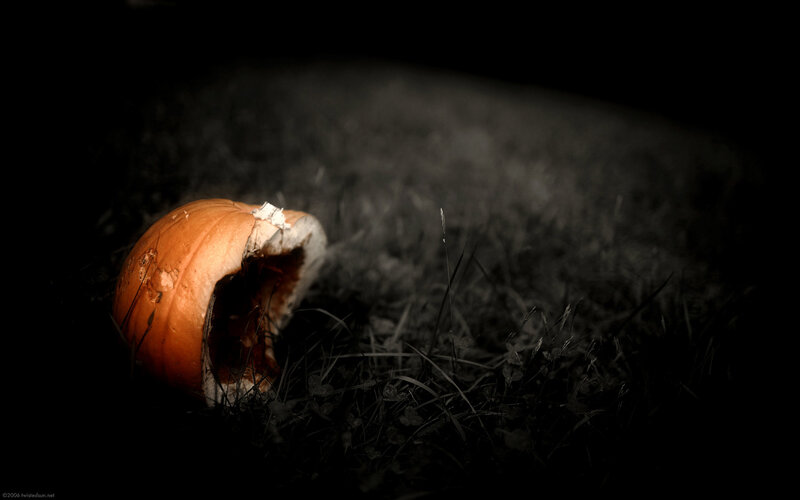 Hollow pumpkin in dark grass