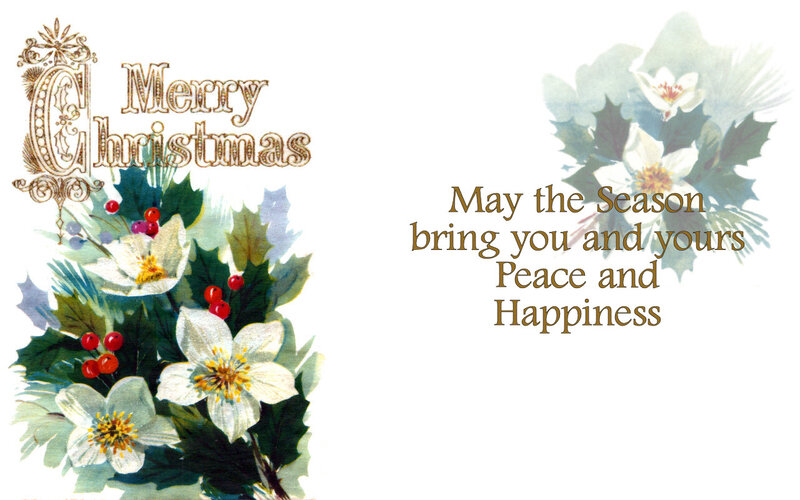 Holly and Flowers