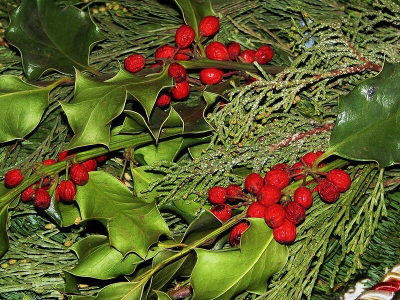 holly and red berries