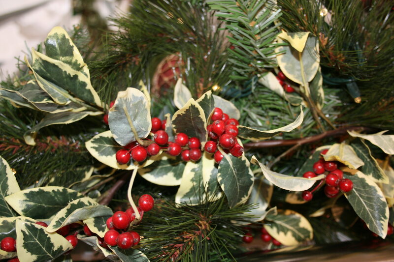 Holly Berries and Leaves — Green, Festive, Winter