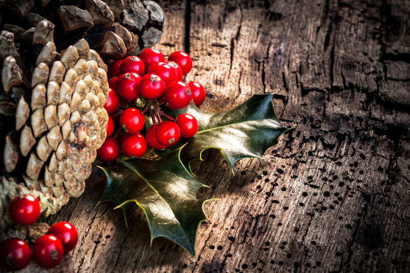 Holly Berries and Pinecone