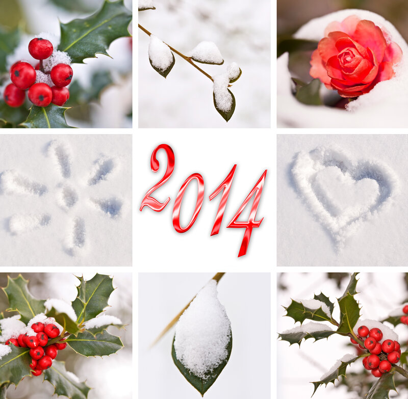 Holly Berries in Snow — Red