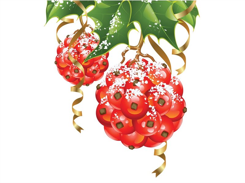 Holly Berries with Leaves