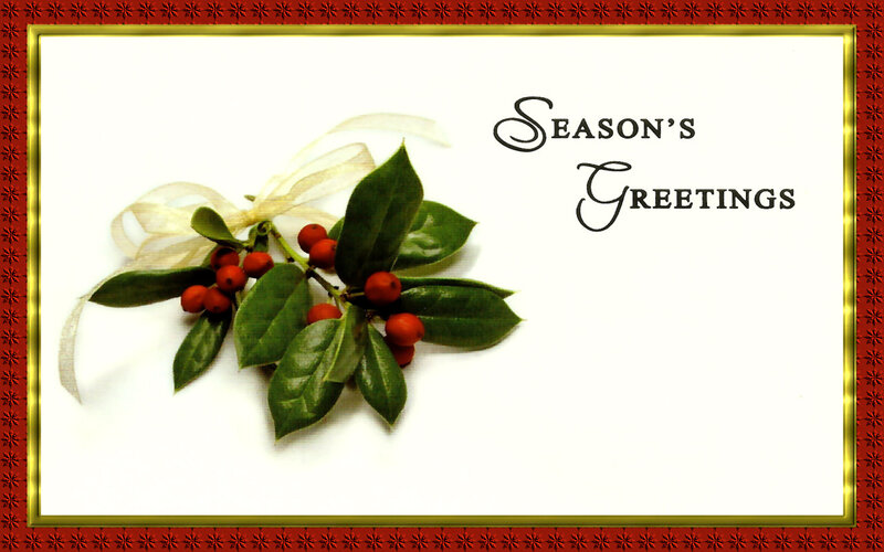 Holly Branch with Berries — Green, Festive