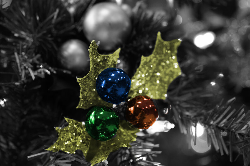 Holly Decoration on Tree