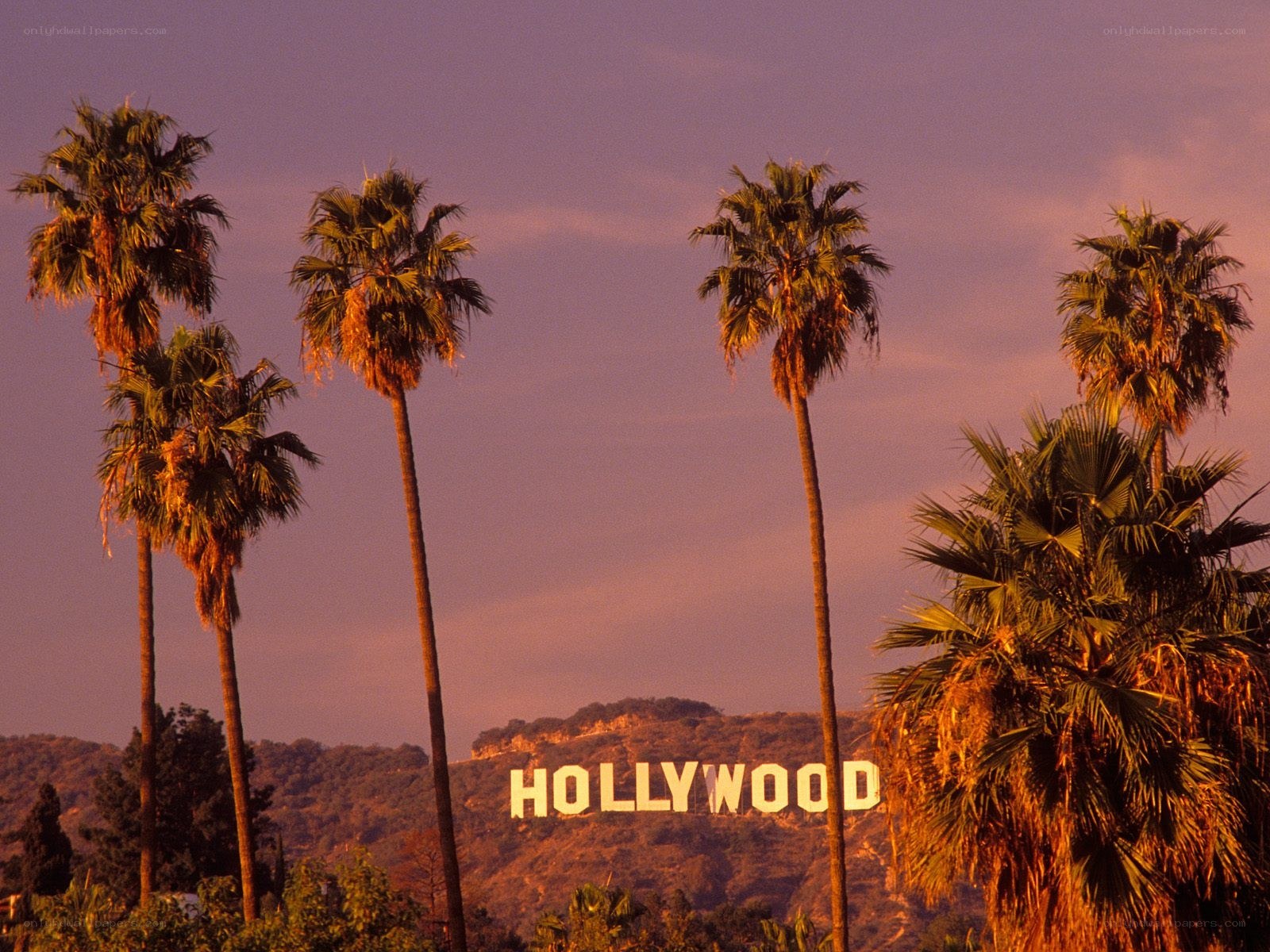 Hollywood sign at sunset