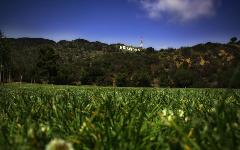 Hollywood Sign from a grassy field