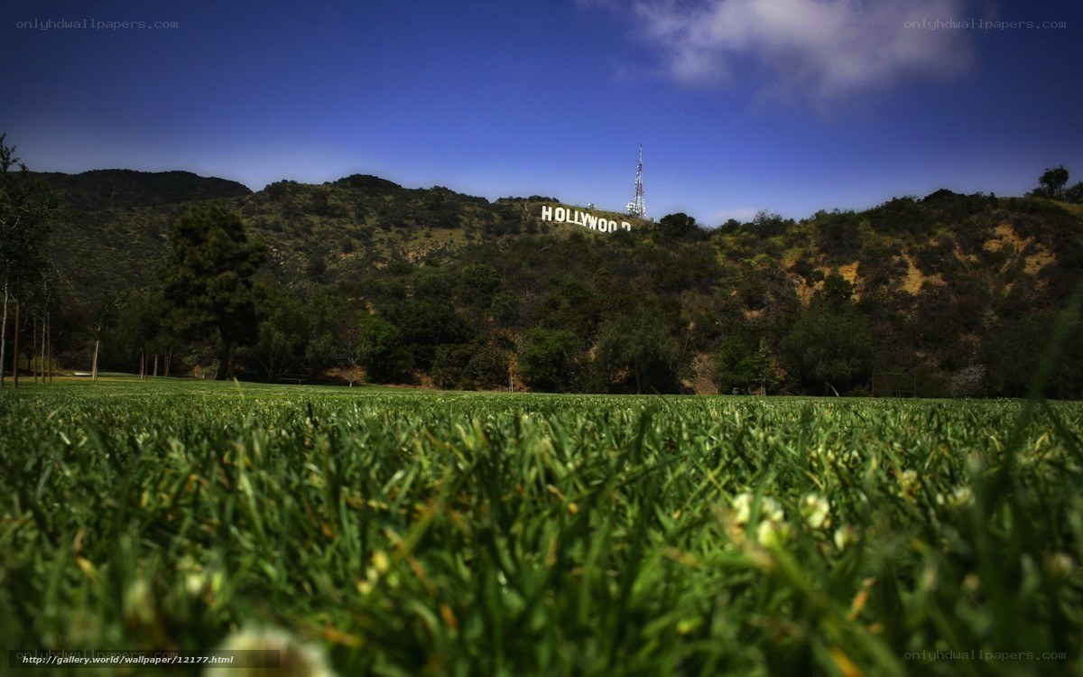 Hollywood Sign from Grass