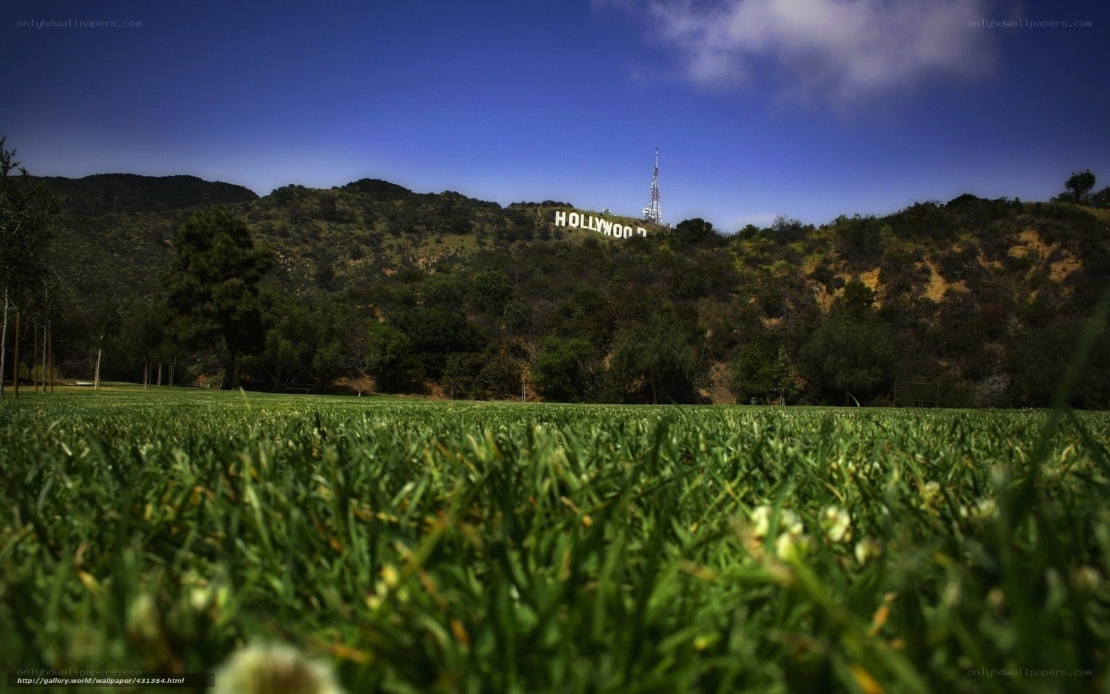 Hollywood Sign from grassy field